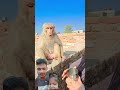 #funny #monkey #comedy #cute #cat #youtubeshorts #video