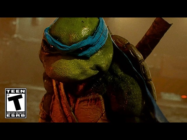 Why a Teenage Mutant Ninja Turtles set