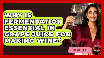 Why Is Fermentation Essential in Grape Juice for Making Wine? - Fine Wine Facts