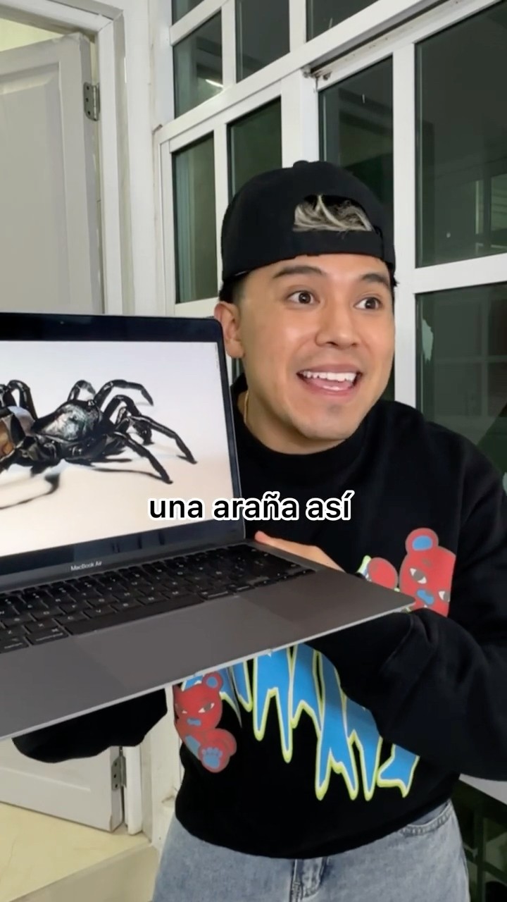 BROMA CON UNA ARAÑA  #shorts