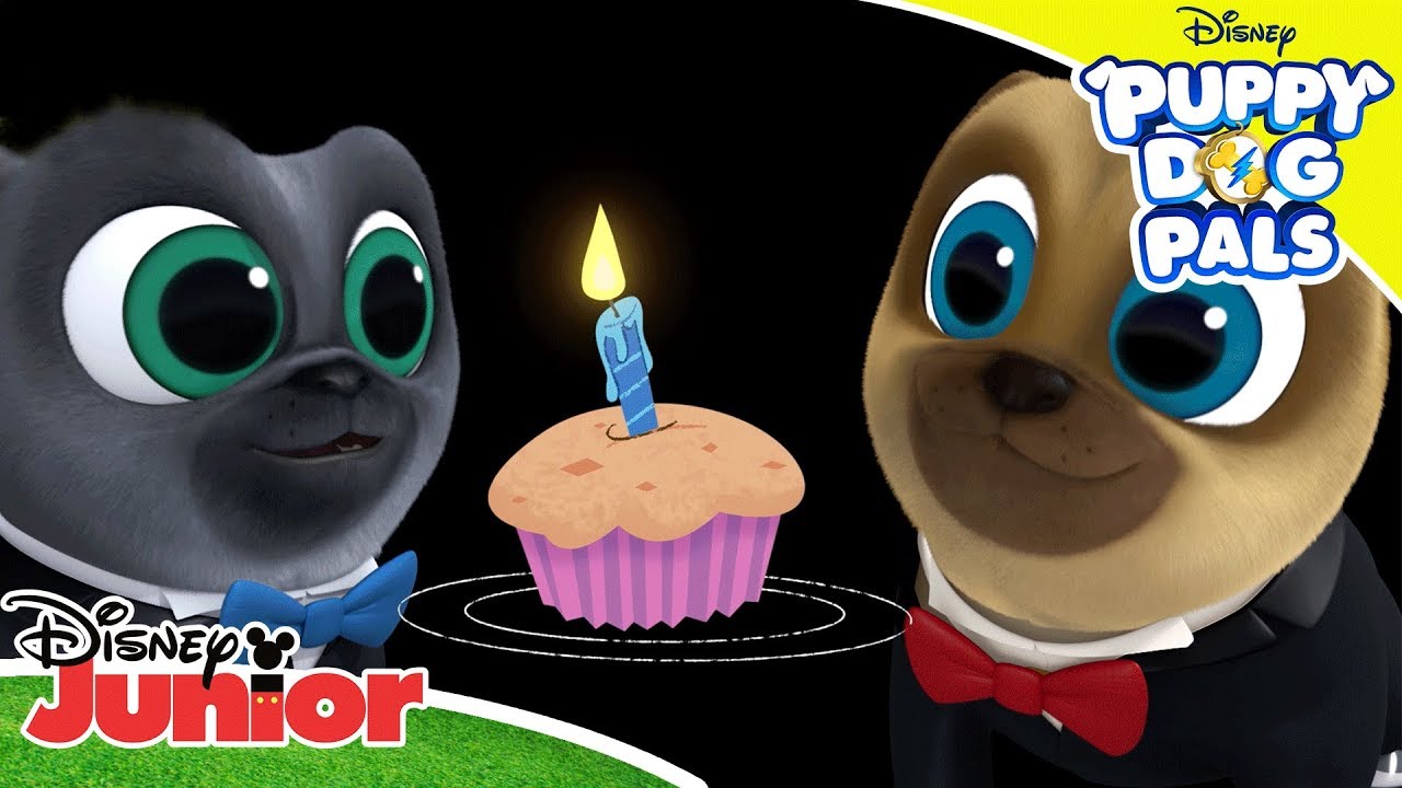 Series 2 Music Compilation 🎶 | Puppy Dog Pals 🐶 | Disney Junior Arabia