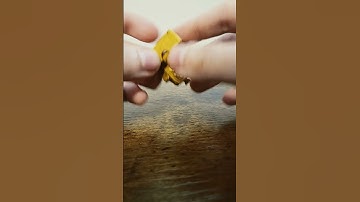 Transformers ASMR: Botbots Gol-D (series 5) #shorts