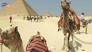 تلاوة ممتعة لسورة الغاشية بصوت الشيخ ياسر سلامة