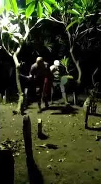 Story wa keren 'Saur ora saur sak karepmu'