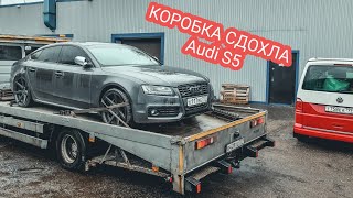 Audi S5. Вот почему не стоило ее покупать!