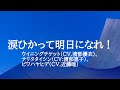KARAOKE 涙ひかって明日になれ!ウイニングチケット(CV 渡部優衣)ナリタタイシン(CV:渡部恵子)ビワハヤヒデ(CV.近藤唯)