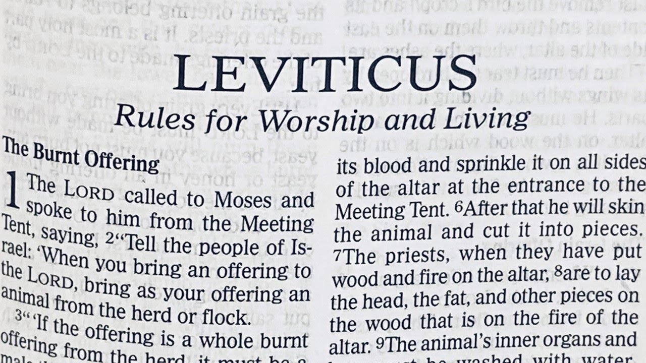 Leviticus 12 Daily Devotional YouTube