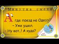 Минутка смеха Отборные одесские анекдоты Выпуск 345