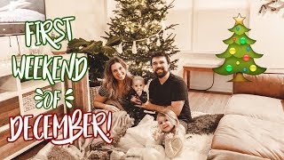 Finding the PERFECT Christmas Tree!