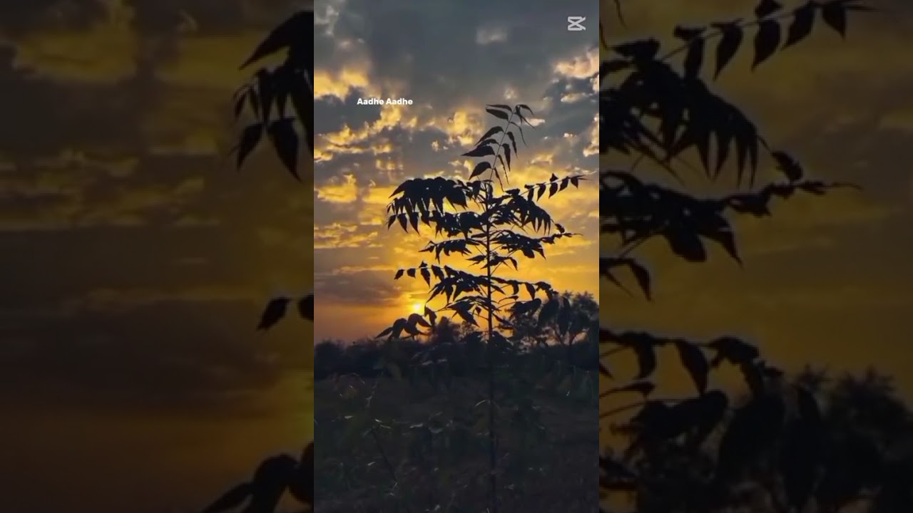 Aesthetic Night Drive Sunset Status 🌅 | Ho Aasmaan Mila Zameen Ko 