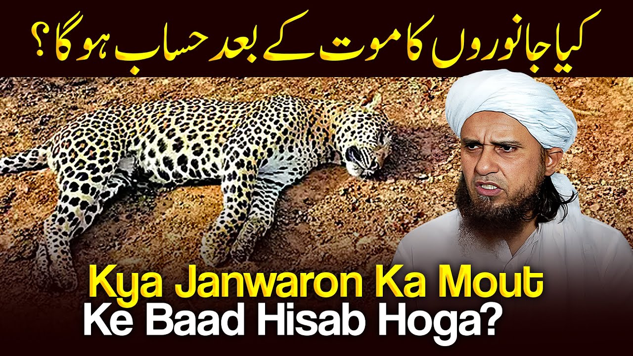 Kya Janwaron ka Maut Ke Baad Hisab Hoga | Ask Mufti Tariq Masood