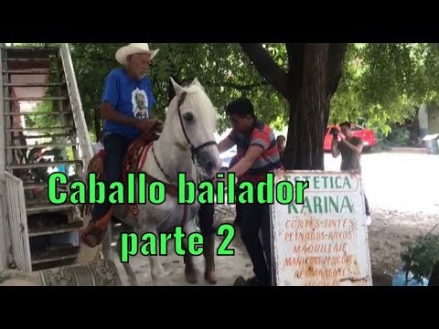 CABALLO BAILADOR PARTE