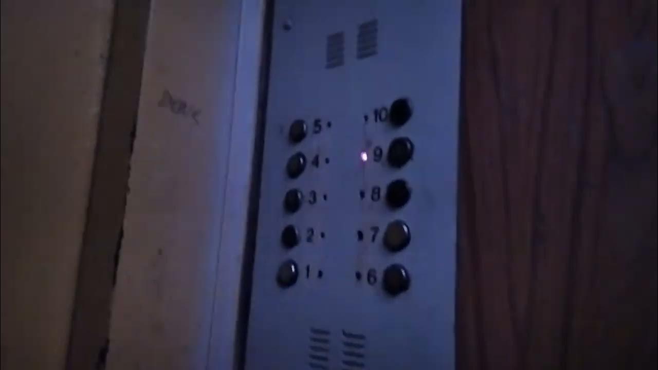 Додо пицца таджикистан. Камеры могилев. Могилёв онлайн камеры. Камеры могилев. Куплю камеру в тирасполе.