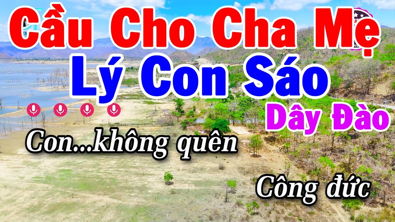 Karaoke Cầu Cho Cha Mẹ - Lý Con Sáo Dây Đào || Karaoke Anh Tuấn