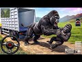 Zoo Animal Cargo Truck Driving Game 3D - Animal Transport Cargo Truck 2024 - Android Gameplay