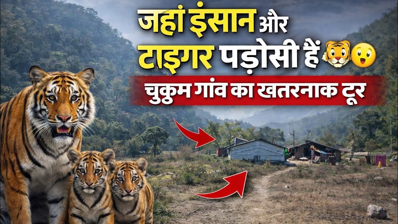 जहां इंसान और टाइगर पड़ोसी हैं 🐅| चुकुम गांव का खतरनाक टूर