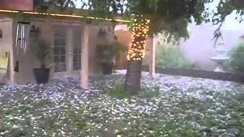 C:\Documents and Settings\User\My Documents\My Videos\RealPlayer Downloads\سبحان الله.flv