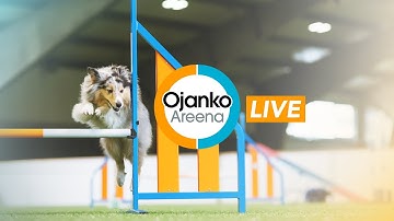 16.11.2025  Keravan Agility Team agilitykilpailut 1-2 lk