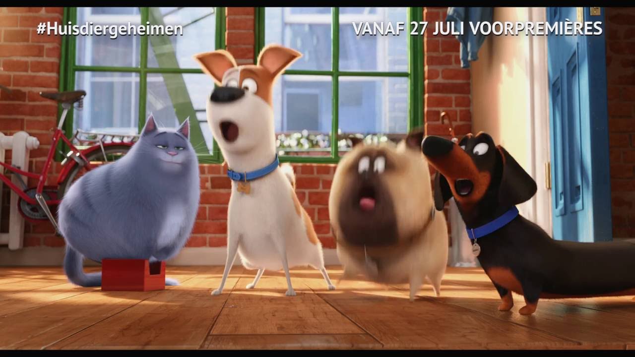 Тайны домашних животных на английском. Secret Life of Pets. Два трамвая жизнь домашних животных. The Secret Life of Pets филборд.