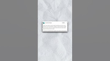 Shell wearing armored hermit bees🐝