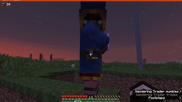 Better Wandering Trader 1.15.2 Fabric Mod Overview