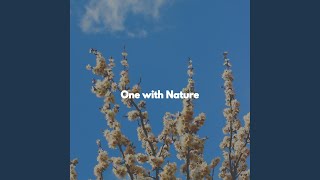 Superlative Ambience for Limitless Eras