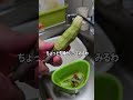 【検証】パティシエはわさびでも字を書けるのか? #shorts