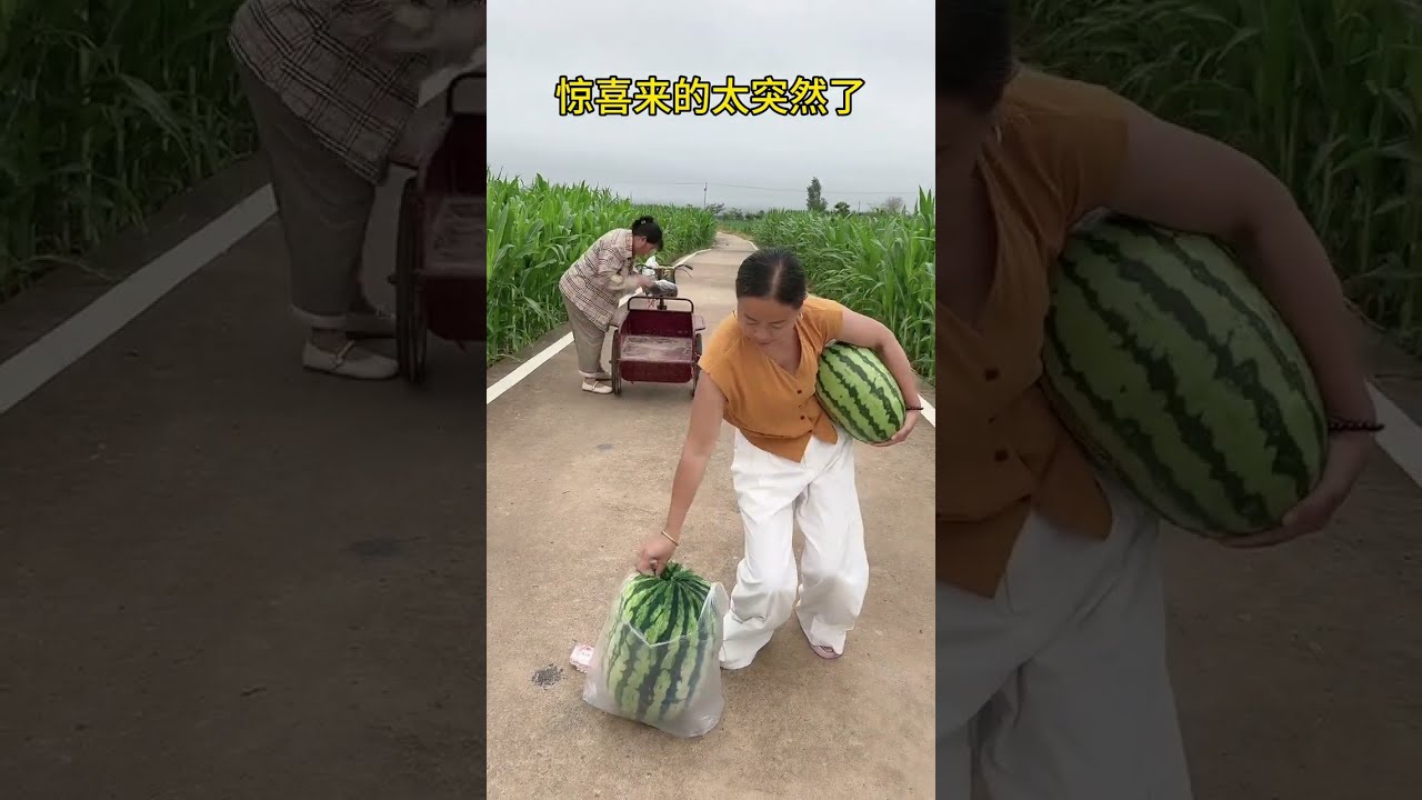 Humorous Couple Funny S Daily Life 205