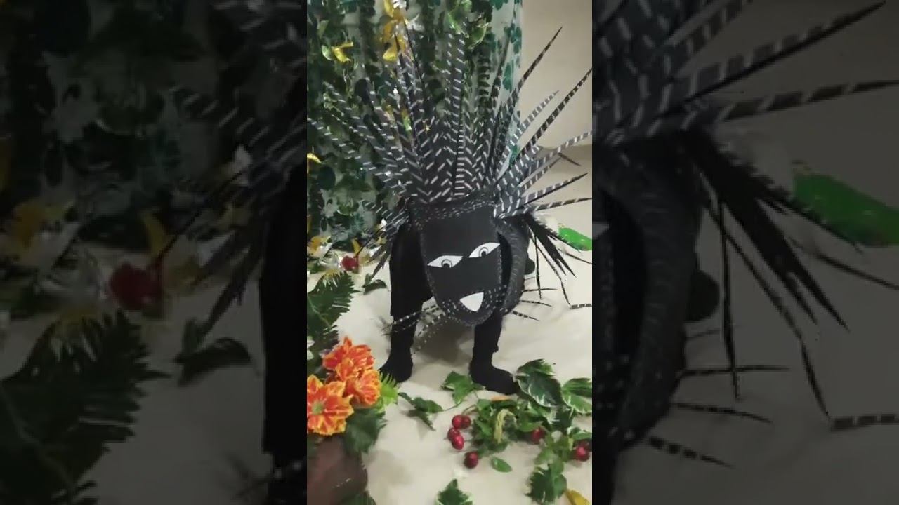 Fancy Dress - Animal Porcupine