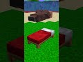 VERO o FALSO - MINECRAFT ITA