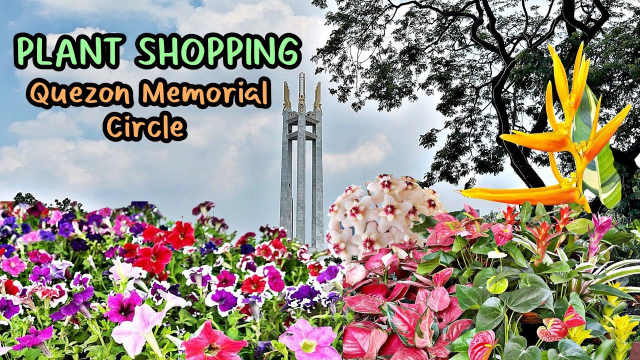 Plant Shopping 🌱 herbs, fruit-bearing trees, flowering & ornamental plants 📍 Quezon Memorial Circle