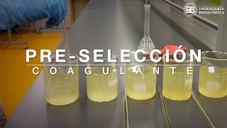 Preselección Coagulante, Floculante y Test de Jarra