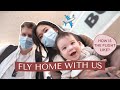 Flying Back Home During a Pandemic | Camille Co