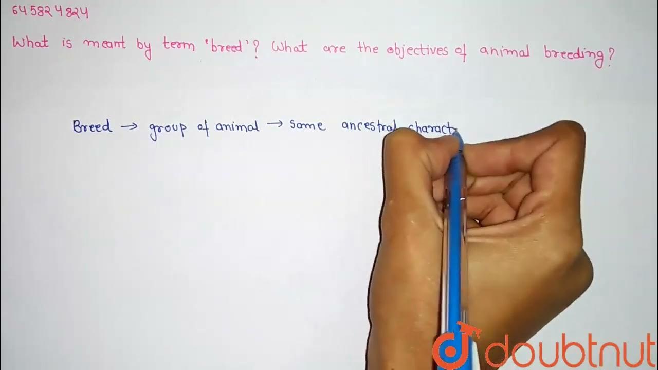 what-is-meant-by-term-breed-what-are-the-objectives-of-animal