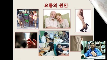 만성요통(chronic low back pain): 비특이성요통에 대해