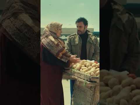 لا انتي خدي ديه وروحي هوجان Shorts