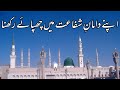 اپنے دامان شفاعت میں چھپائے رکھنا نعت Islam Naat Quran Viral Madina اپنے دامان شفاعت میں چھپائے رکھنا نعت Islam Naat Quran Viral Madina