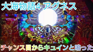 海物語 キュイン音