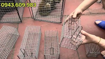 LỒNG BẪY CẦY CHỒN CÁO KHUNG THÉP 4 , LỒNG BẪY CHUỘT ĐƯỜNG MÒN, CỐNG NHUM, SÓC ĐẤT , TẶNG LÒ XO 💥💥