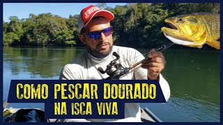 COMO PESCAR DOURADO COM ISCA VIVA, montagem simples !!! pura pesca screenshot 5