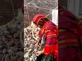 घर में आई दावत😅😋 |Ajju-Tiger 8136 | Ajju-Tiger vlogs| Daily vlog | vlog 19