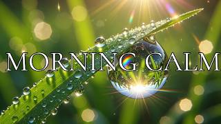 2 Hour Morning Relaxation Sparkling Dewdrops & Gentle Nature White Noise