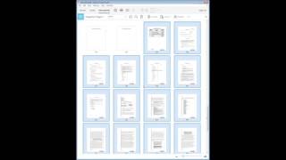 How to Combine a Brief and Appendix