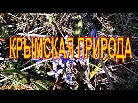 Video: Steppe Krim: ilmasto, helpotus, kasvisto ja eläimistö. Alueen rajat. Mielenkiintoisia paikkoja ja nähtävyyksiä