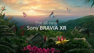 Sony - Philosophy behind BRAVIA XR
