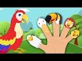 Birds Finger Family | Nursery Rhymes For Kids