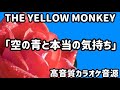 【高音質・カラオケ音源】「空の青と本当の気持ち」THE YELLOW MONKEY