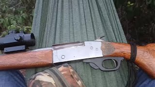 Fui Esperar Às Cutia Na Ceva De Manga