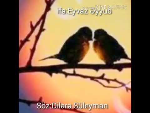 Dilarə Süleyman \