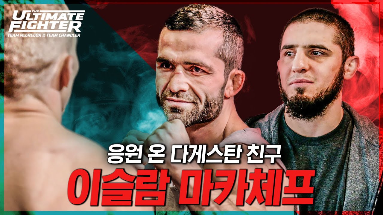 [TUF31]  끝이 보이는 TUF 31, 어제의 팀 오늘의 적 ㅣTUF31